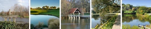 Références, Monetang.com Références, Monetang.com